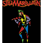 StillMarillion Colour Jester Ladies t-shirt